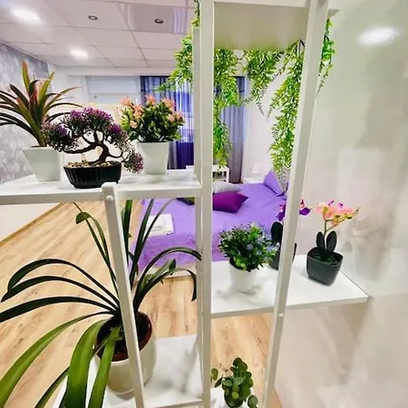 Apartman 21